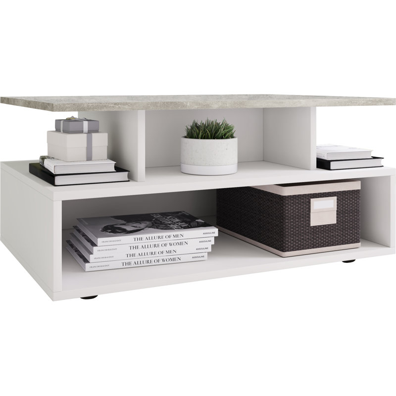 Roin Coffee Table with Storage, Oak Wood/White