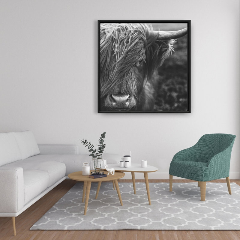 «Portrait monochrome Highland Cow» sur toile