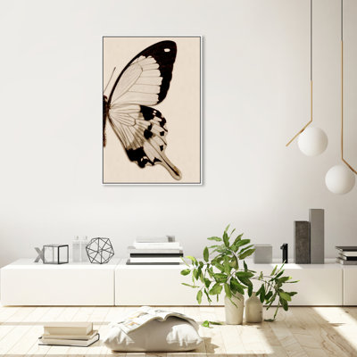 " Animals Sepia Butterfly II Insects "