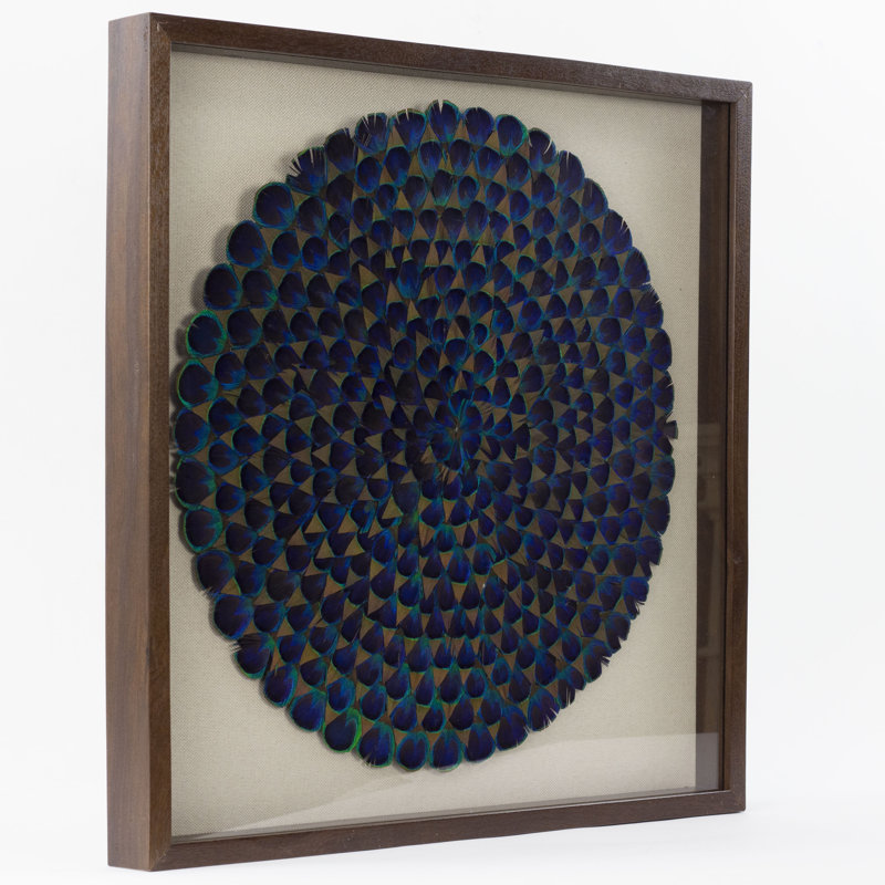 Natural Blue Peacock Feather Framed Wall Art