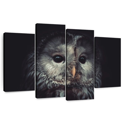 Brampt Lonely Night Owl