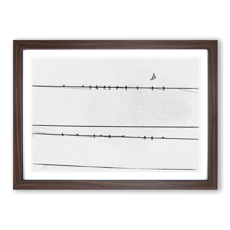 Birds on a Wire in Abstract - Picture Frame Graphic Art Print, 48cm H x 65cm W x 2cm D, Walnut Framed