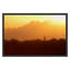 Saguaro National Park, Arizona Print by PhotoDF-660625290