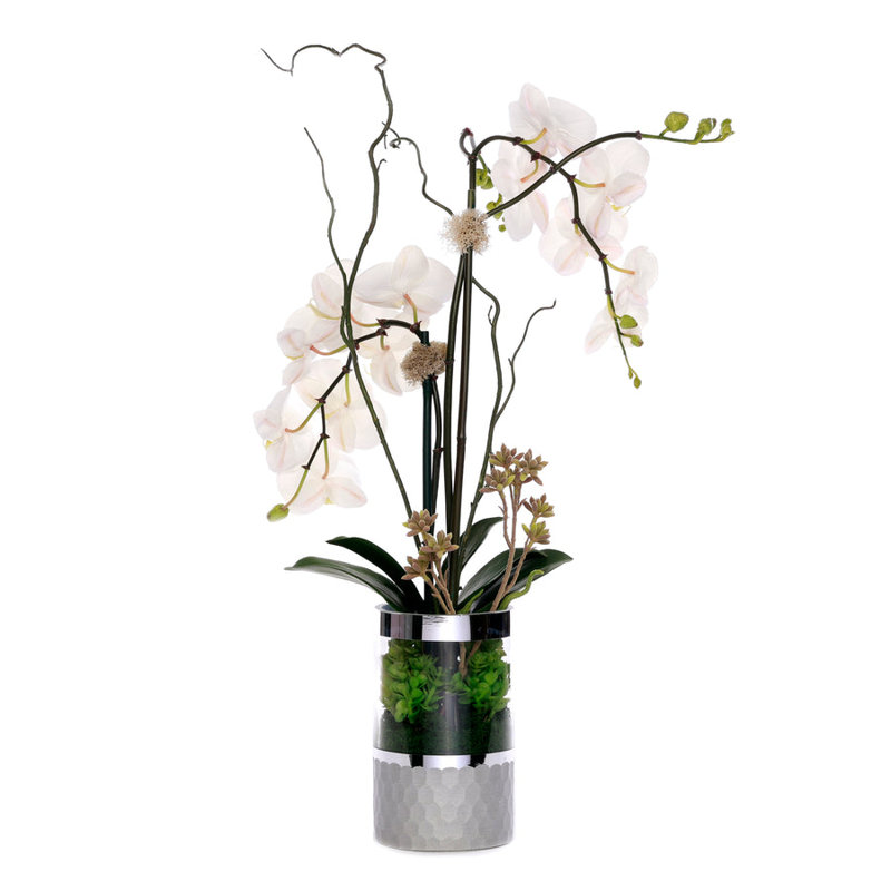 White Phalaenopsis Orchid Flower Arrangement in Round Silver Cylinder Glass Vase