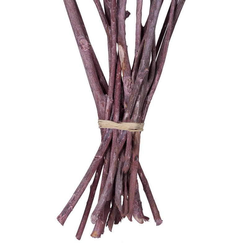 Branche de feuillage préservé de 13 po, Naturel