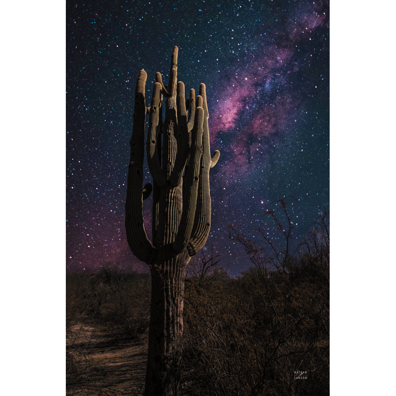 Desert Nights by Nathan Larson - Wrapped Canvas Print, 30cm H x 46cm W x 3.8cm D