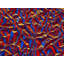 Aluminium Foil Print by Philippe Monthoux-65782141-65782142