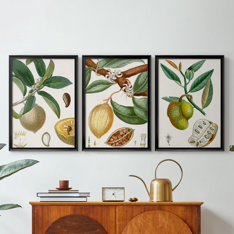 Turpin Tropical Fruit I - Toile tendue avec châssis sur mesure - 3 pièces, H 21 po x l 30 po, Noir