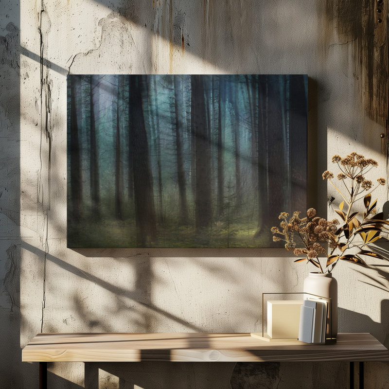 Wrapped Canvas Print, 50.8 cm H x 76.2 cm W