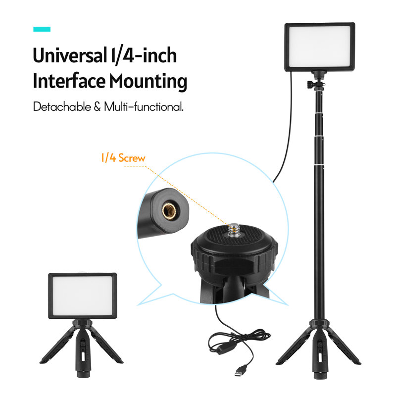 Plug-in Table Picture Light