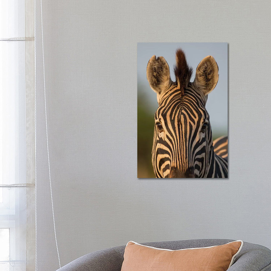 Zebra Facial Pattern South Africa by Mogens Trolle - Wrapped Canvas Print