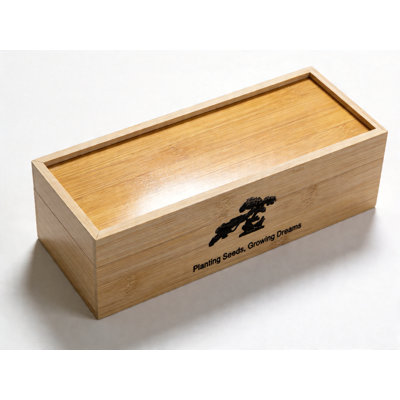 Ensemble de bonsaï, trousse de démarrage avec graines et outils, plantes vivantes en arbre à l'intérieur, cadeaux de jardinage pour les femmes, maman, père, amoureux des plantes, cadeaux d'anniversaire pour les femmes