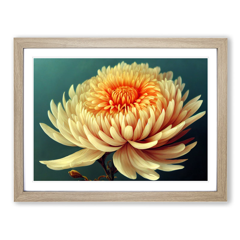 Angelical Chrysanthemum Flower - Framed Print, Oak