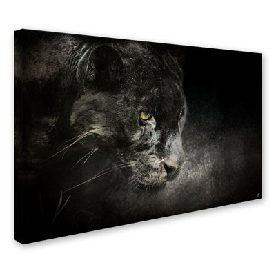 'Out of the Shadows Black Leopard' Graphic Art Print on Wrapped Canvas