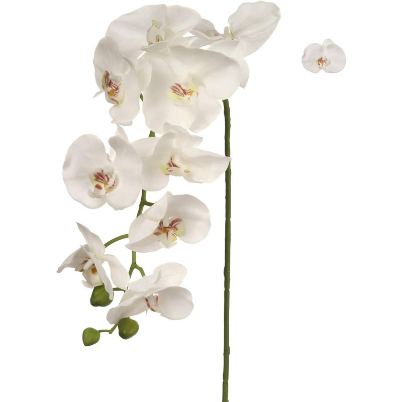 2 pièces tige d'orchidée phalaenopsis 49 "- Collection printemps 2025