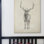 " Elk Study "