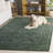Vintage Overdye Performance Oriental Indoor Rug-117806887