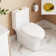 Ally Dual-Flush Elongated One-Piece Toilet with Glazed Surface Modern Toilet with Comfort Seat Height  (Seat Included)
