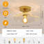 Horn-Shaped Glass Ceiling Light