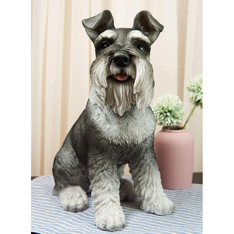 Gibsonburg, grand adorable chiot schnauzer