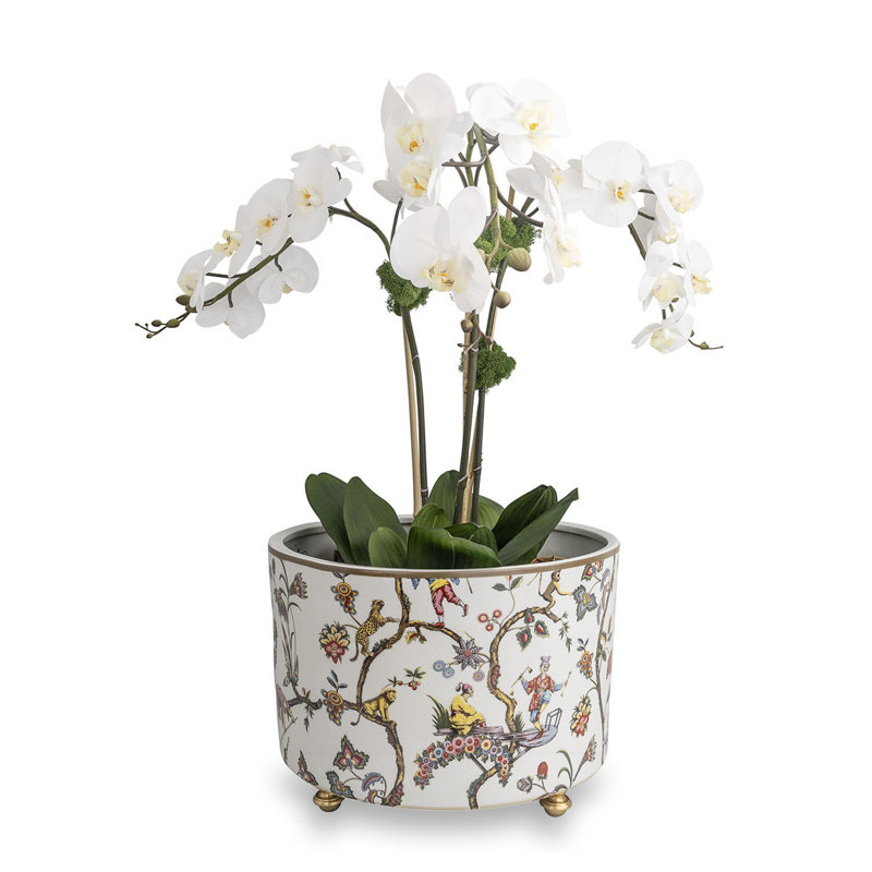 Chinoise Exotique Center Basin