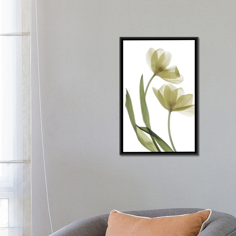 «X-Ray Tulip I», reproduction sur toile, H 26 po x l 18 po x P 1,5 po, Toile encadrée noire, Pas de tapis