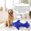 Jouet interactif pour chien Shark