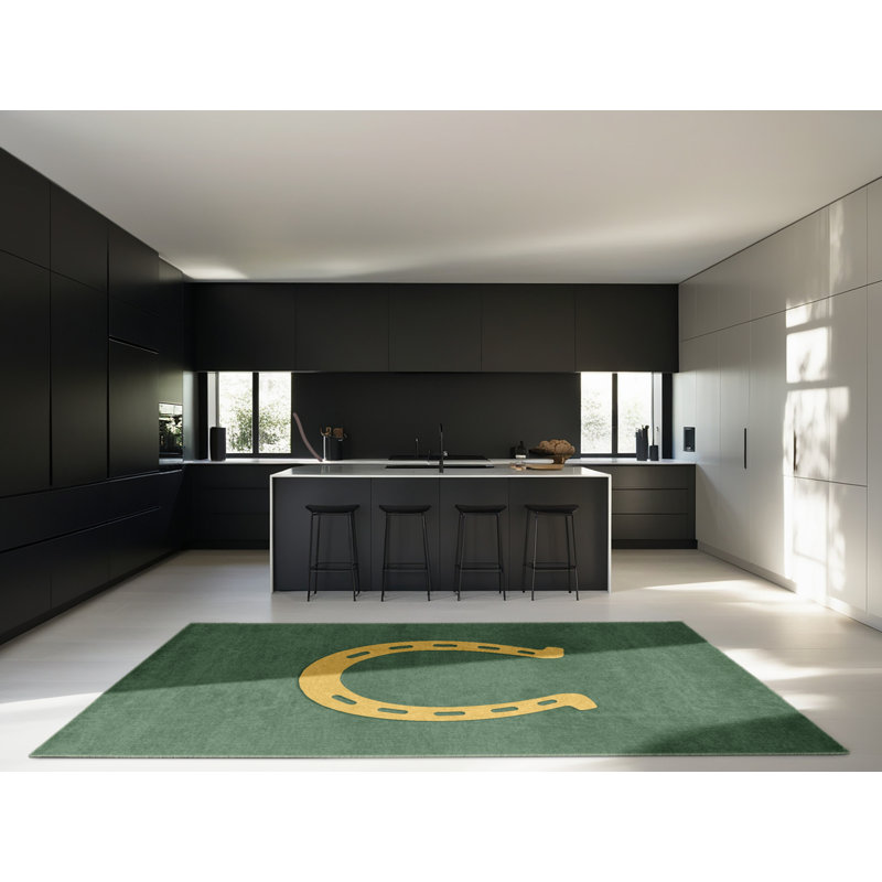 Soft Plush Ferland St Patties Modern & Contemporary Abstract Area Rug in Green – SageGreen Binding, 4x6