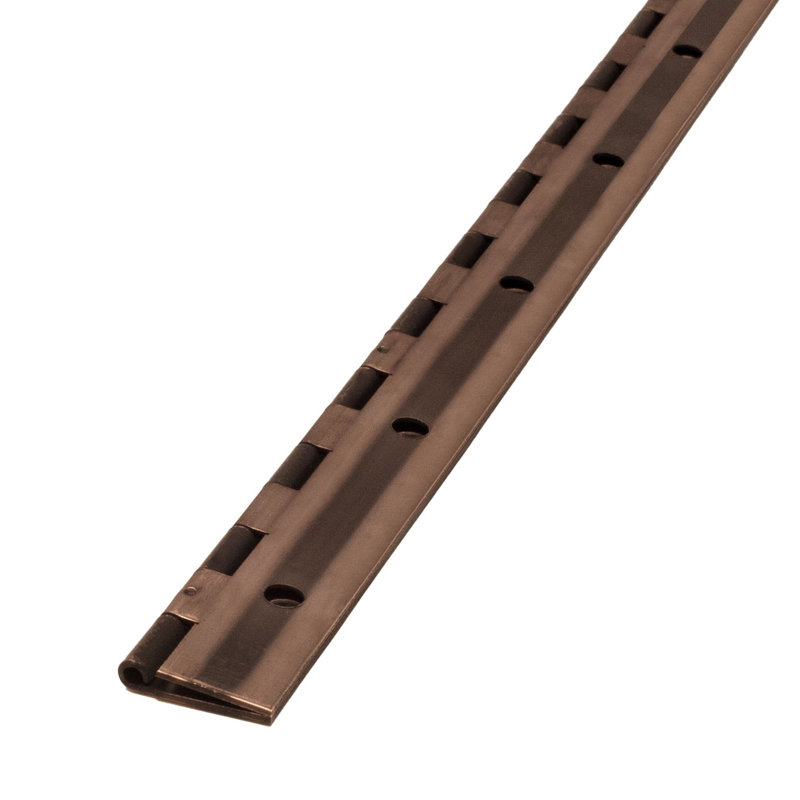 Charnière traditionnelle en acier, Bronze