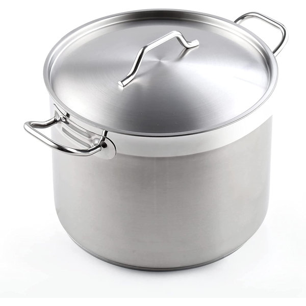 https://assets.wfcdn.com/im/31721885/resize-h600-w600%5Ecompr-r85/2339/233975098/Cooks+Standard+Professional+Stainless+Steel+Stock+Pot+with+Lid%2C+Silver.jpg