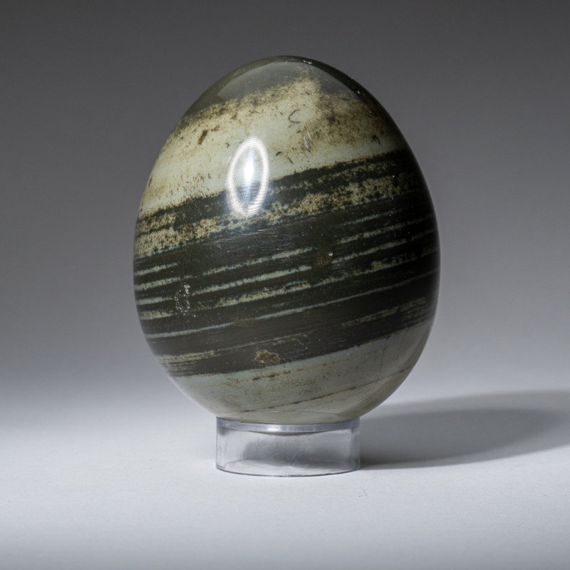 Véritable œuf de jaspe polychrome poli de Madagascar (1,11 lb)