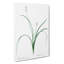Roman Hyacinth Flowers by Pierre-Joseph Redoute - Wrapped Canvas Print-55323652