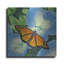 «Butterfly» par Durwood Coffey-781285518