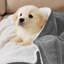 Couverture en molleton doux Microplush-657181713-631108279