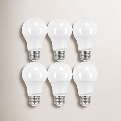 Roderick 6W A19 LED Non-Dimmable Bulb
