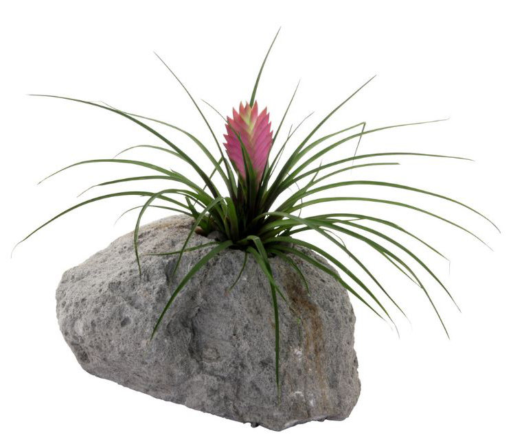 Pot à fleurs Ovalle Pumice