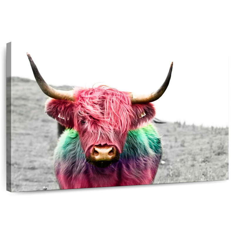 Vache Highland colorisée, H 30 po x l 45 po