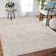 Alloway Transitional Medallion Premium Polyester High-Low Performance Area Rug