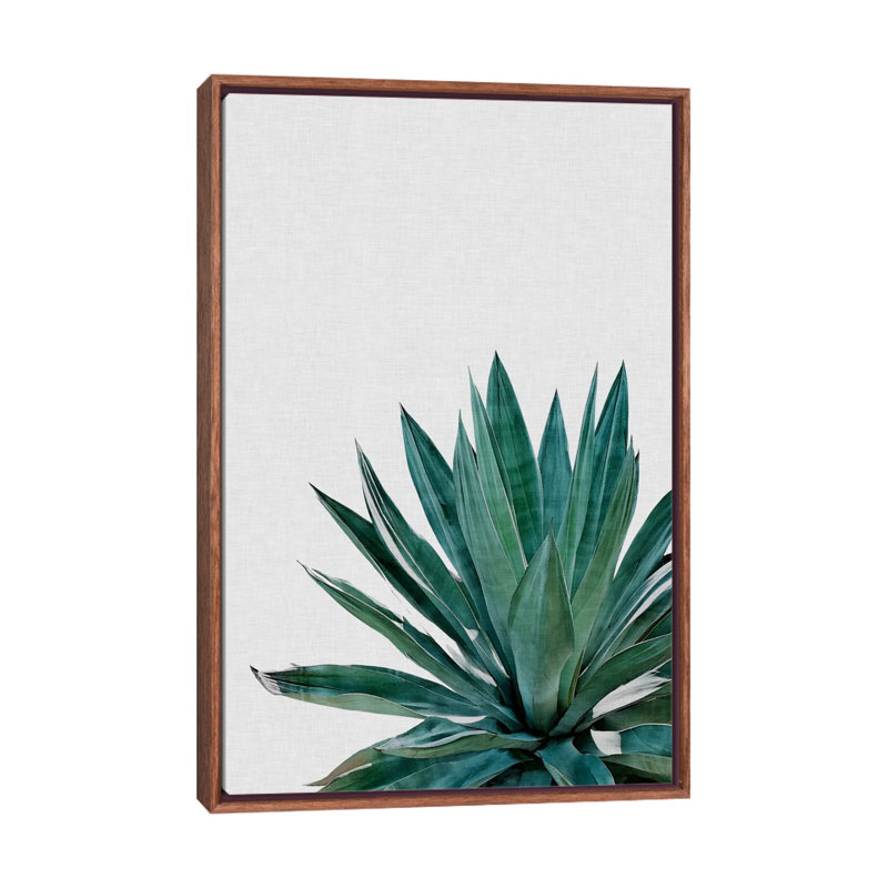 « agave cactus »-impression photographie, Toile avec cadre en bois classique, H 26 po x l 18 po x 1,5 po