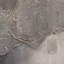 Sirius sur toile