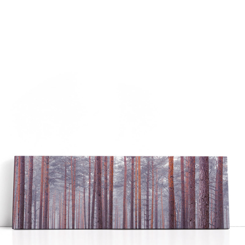 Tree Trunks - Canvas Print Wall Art, 8" H x 24" W