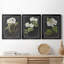 «Dramatic White Flowers I», ensemble de 3 peintures sur toile encadrées-1356238379-1356238378