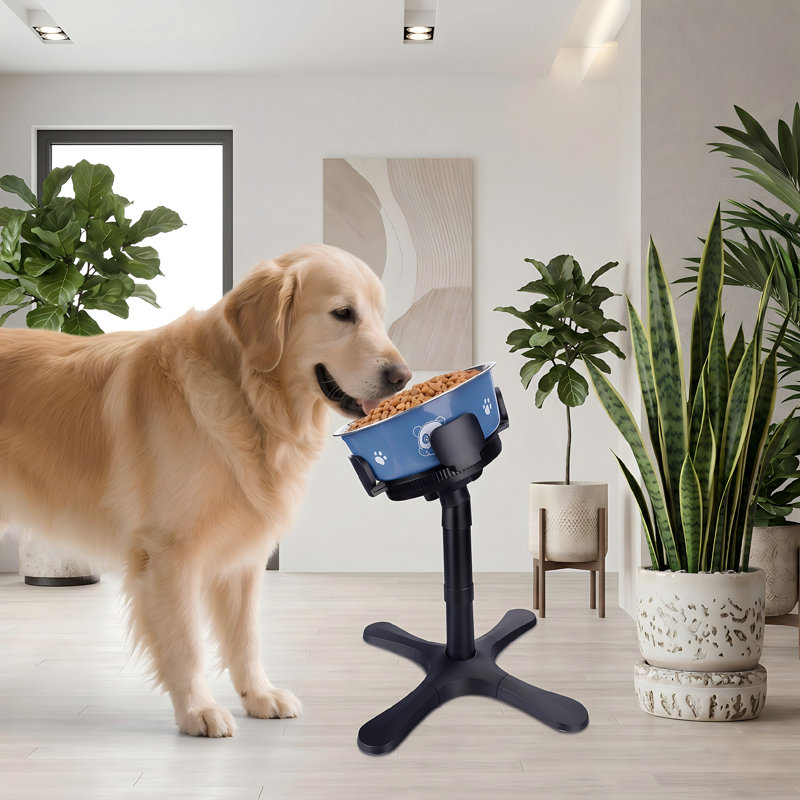 Support réglable pour bols pour chien surélevé et inclinable à 3 hauteurs, compatible avec divers bols, pour les moyennes et grandes races, noir, bol inclus