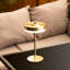 Liana Metal Table Lamp-875526020