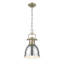 Luminaire suspendu unique à 1 lumière Alethia sans accents de matériau secondaire ou d'accent-482482422-482482420
