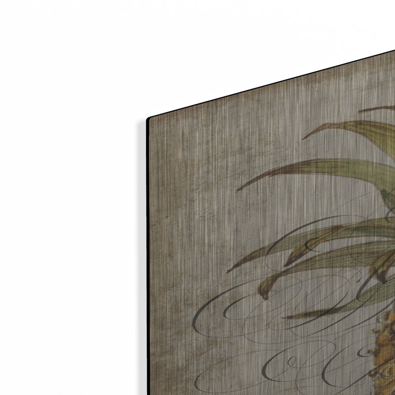 «Pineapple Study II» par Tim O'Toole, art mural en métal, H 36 po x l 24 po