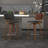 Benelli Mid-Century 26" Counter Stool With Swivel-669606331