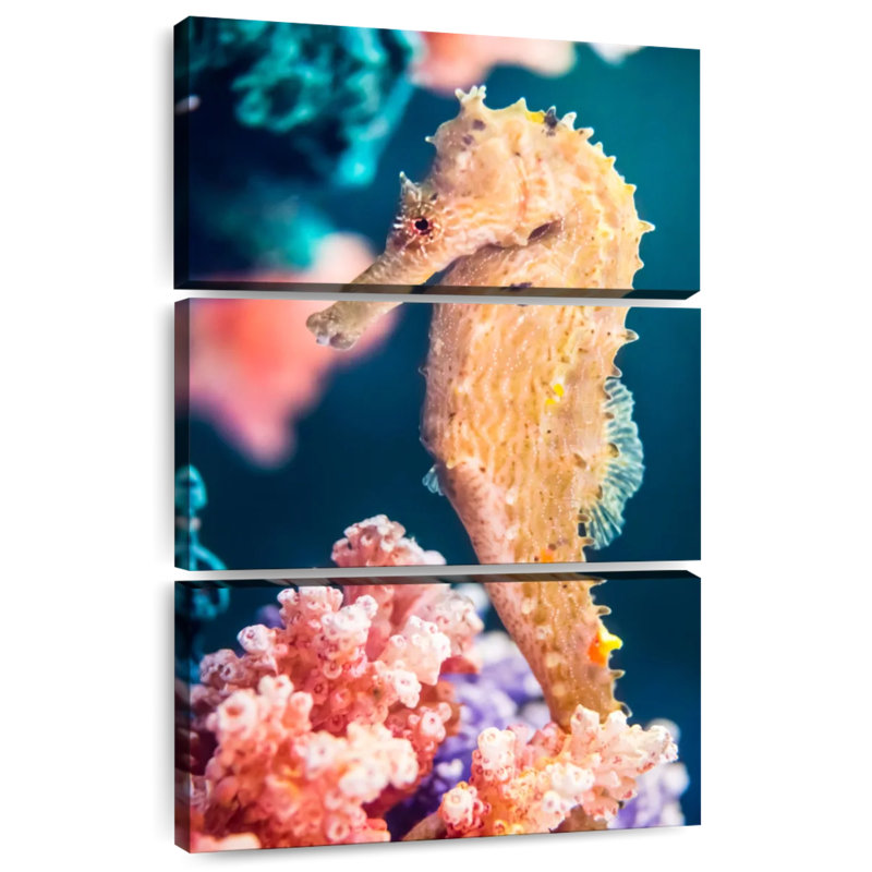 Hippocampe jaune, H 32 po x l 20 po