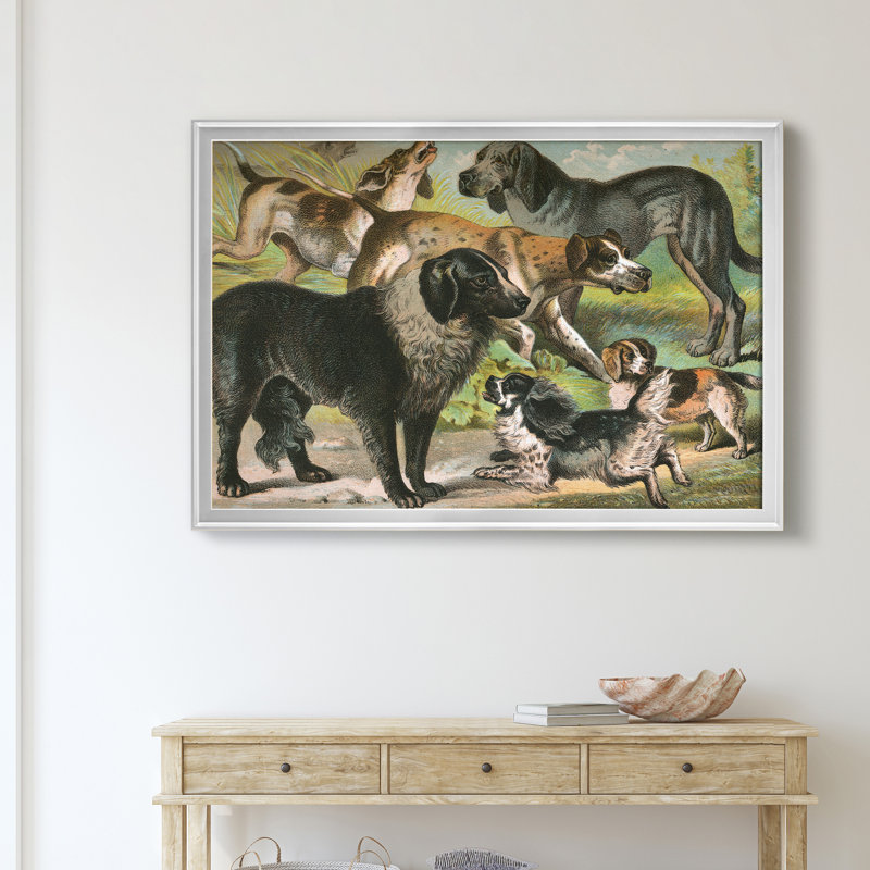 Johnsons Dog Breeds III - Art mural mat et encadré sous verre, grand salon, H 18,5 po x l 24,5 po x P 1,5 po, Argent