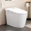 Toilette allongée intelligente sans réservoir avec bidet, chasse d'eau automatique, siège chauffant, laveuse / sécheuse chaude, température de l'eau réglable, fonctionnement du pied, veilleuse, télécommande